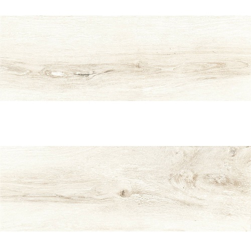 p8 11 024 1 p8 11 024 1