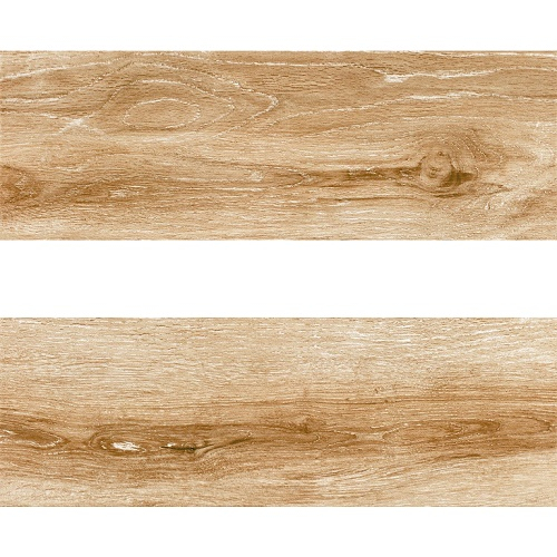 p8 11 025 1 p8 11 025 1