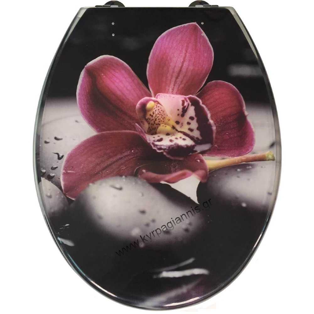 4 21 069 1.jpg 4 21 069 1.jpg