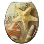 ΚΑΛΥΜΜΑ ΔΙΑΦΑΝΟ ΚΟΧΥΛΙΑ-BEACH SEASHELL (R-6875)