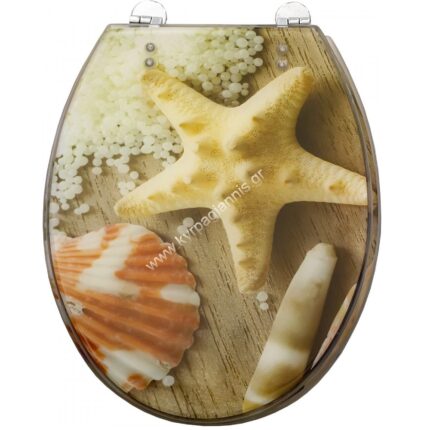 ΚΑΛΥΜΜΑ ΔΙΑΦΑΝΟ ΚΟΧΥΛΙΑ-BEACH SEASHELL (R-6875)