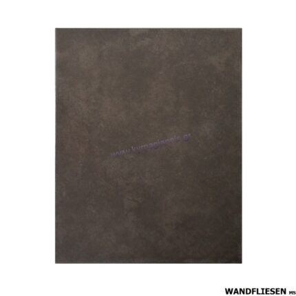 Πλακάκι τοίχου City Antracite 20x25