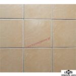 Πλακάκι τοίχου Eslida Beige 20x20