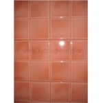 Πλακάκι τοίχου Ibi Car 28,3x28,3