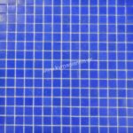 ΨΗΦΙΔΑ ΜΠΛΕ Α36 σε δίχτυ