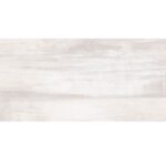 ΠΛΑΚΑΚΙ REALITY BEIGE 25x50 (Α003)