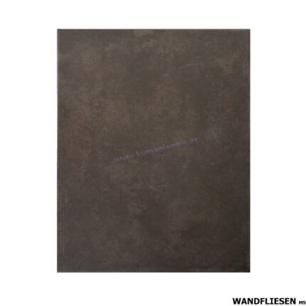 Πλακάκι τοίχου City Antracite 20x25